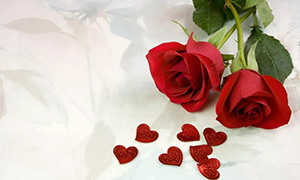 ���ջ��ϵ�д����������