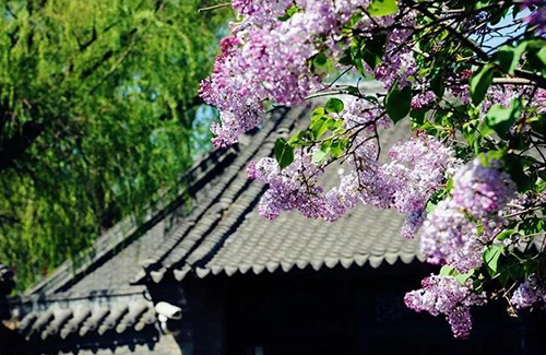 ΢��ͼƬ_20190704100453 ����.jpg